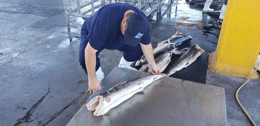 4-Lucha contra Pesca ilegal